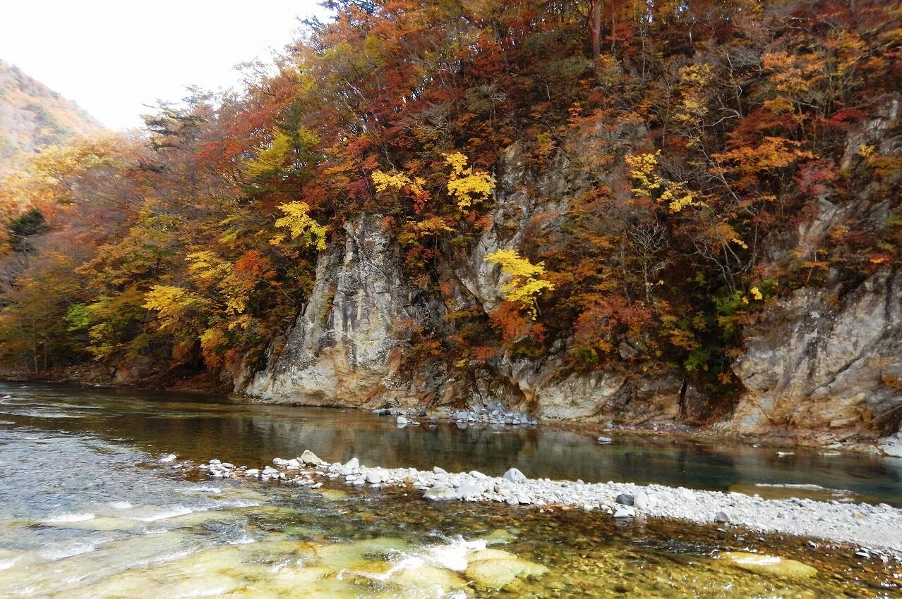 塩原温泉紅葉情報 11 07 秋麗 秋うらら 吊橋が導く渓谷の森 塩原温泉ビジターセンター通信 塩原温泉紅葉情報 11 07 秋麗 秋うらら 吊橋が導く渓谷の森 塩原温泉ビジターセンター通信