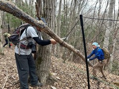 gpfd_81e04bb9c9ed05bab411617884f8991420fec3b1