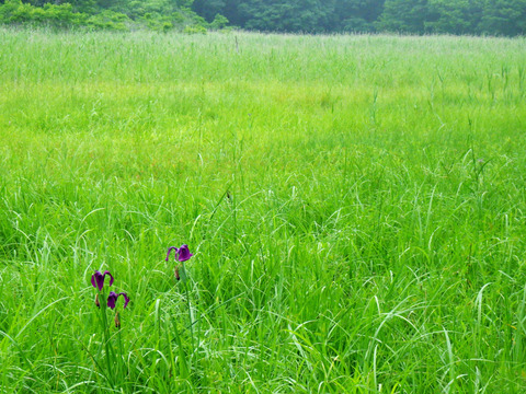 R0056231