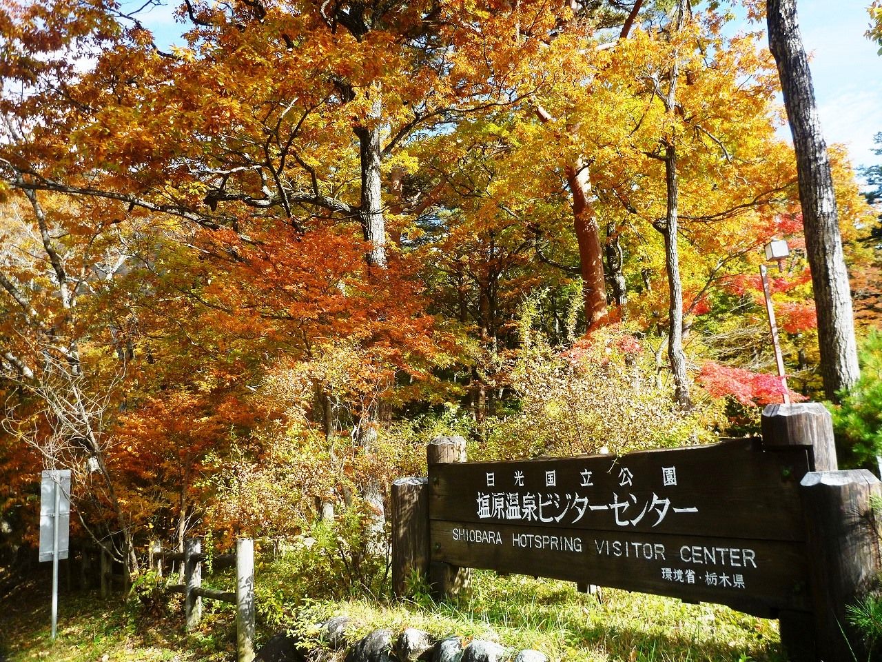 塩原温泉紅葉情報 18 11 04 錦秋の森の一期一会 塩原温泉ビジターセンター通信