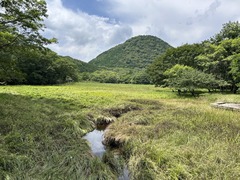 IMG_1298