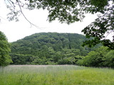 P7015822