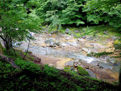 R0055853