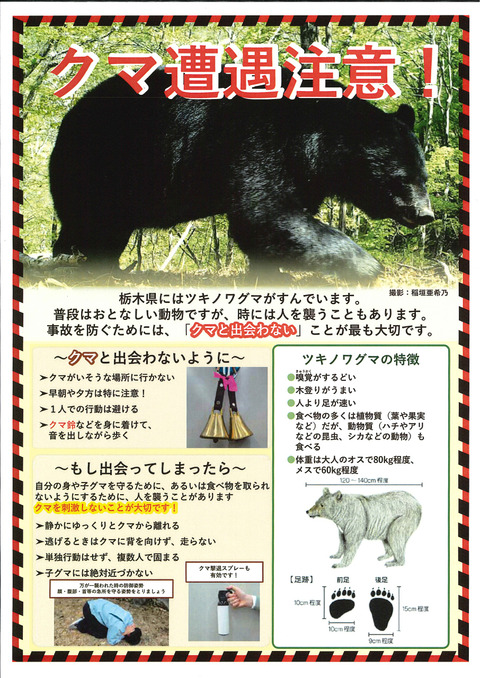 クマ遭遇注意！チラシ（表）