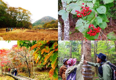 写真レイアウト用ベース