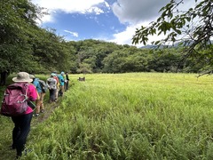 IMG_1267