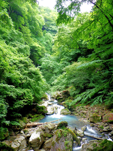 R0056010
