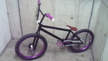 abc9237b.jpg