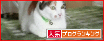 のらこっこ ランキングバナー