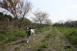 IMG_0027