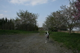 IMG_0059