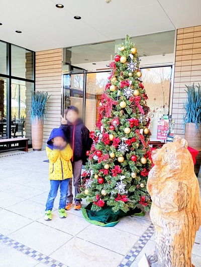 Point Blur_20250324_065245