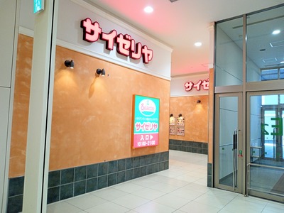 IMG_20221128_113724_131~2_copy_2304x1728