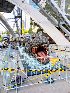 PHOTO_20240916_165647~2_copy_2592x3456