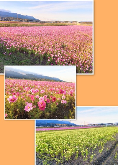 IMG_20221121_2031_13