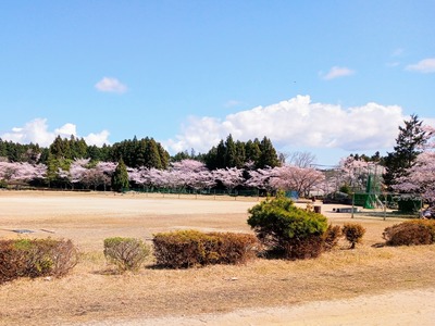 IMG_20220404_101738_350~2_copy_1681x1261