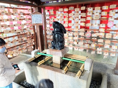 IMG_20221226_125310_235~2_copy_2304x1728