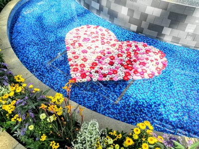 IMG_20200206_131757~2