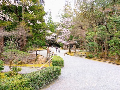 IMG_20220329_123905_847~2_copy_2304x1728