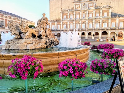 PHOTO_20240729_172641~2