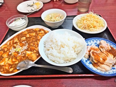 PHOTO_20240119_171538~2_copy_2304x1728