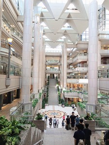 PHOTO_20240819_144856~2_copy_2358x3144