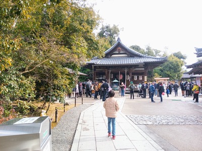 IMG_20221226_115025_290~2_copy_2304x1728