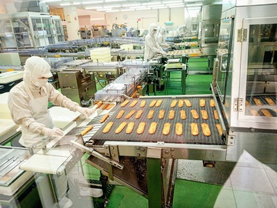 PHOTO_20240822_121512~2_copy_3144x2358