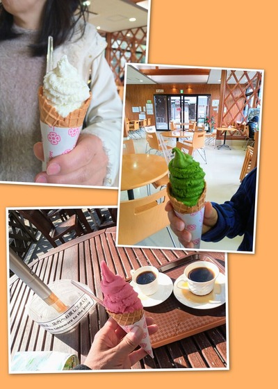 IMG_20240304_1841_19