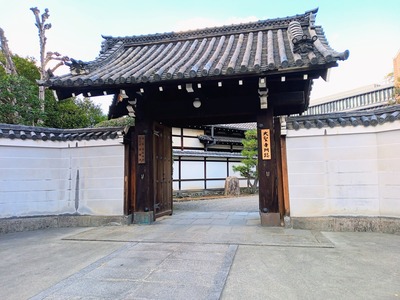 IMG_20231225_125011_994~2_copy_3456x2592