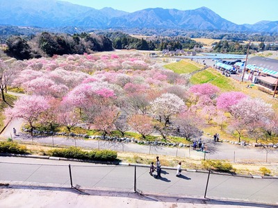 IMG_20230320_123554_050~2_copy_2304x1728