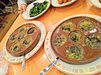 PHOTO_20240318_165420~2_copy_2304x1728