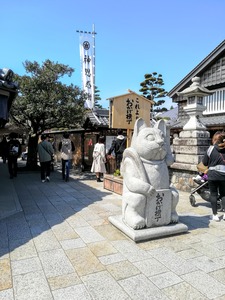 IMG_20200317_113305~2