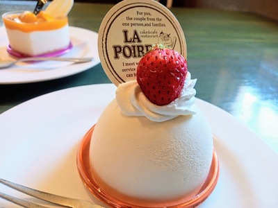 PHOTO_20240514_112437~2_copy_2304x1728