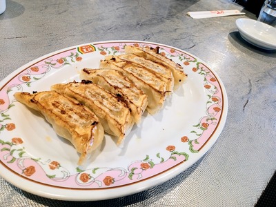 IMG_20231019_164954_560~2_copy_2304x1728