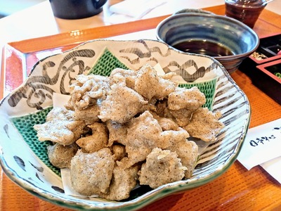 PHOTO_20240122_115834~2_copy_2304x1728