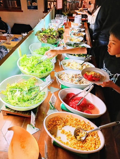 IMG_20250330_183442775_HDR~2_copy_3041x4039