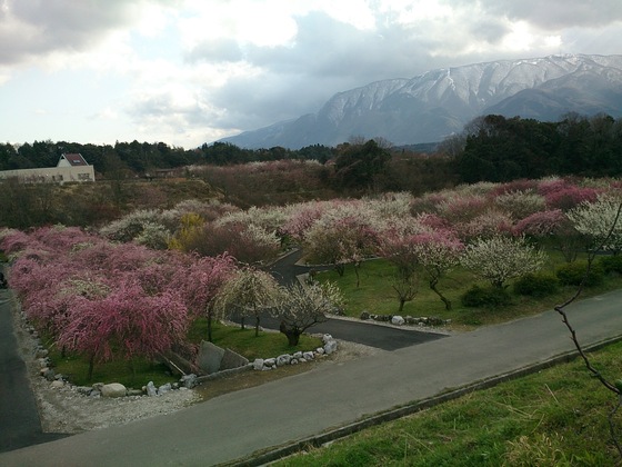 31a75d3c.jpg