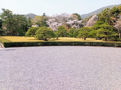 IMG_20210330_111735_523~2