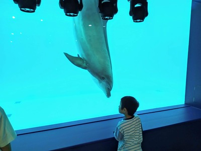 PHOTO_20240820_130546~2_copy_3144x2358