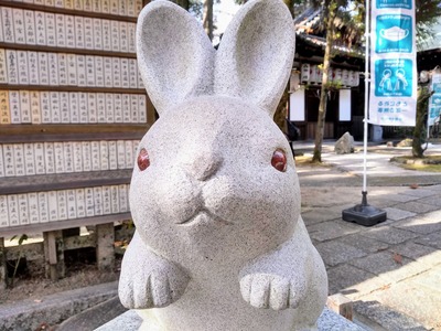 IMG_20221226_125821039_HDR~2_copy_2080x1560