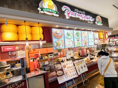 IMG_20221114_105505_239~2_copy_2304x1728