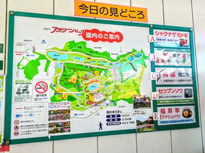 IMG_20200206_124739~2