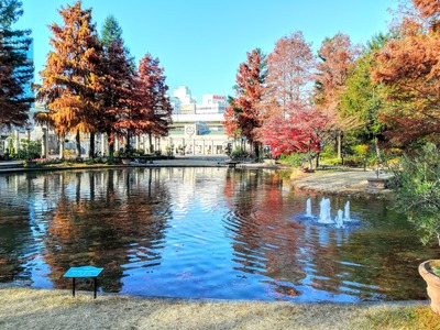 IMG_20191216_142204~2