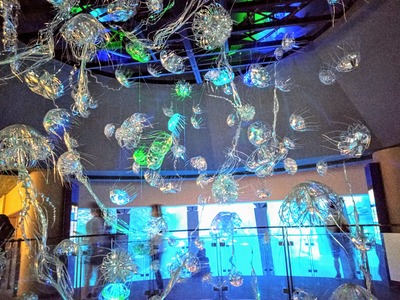 IMG_20240820_121720_392~2_copy_3144x2358