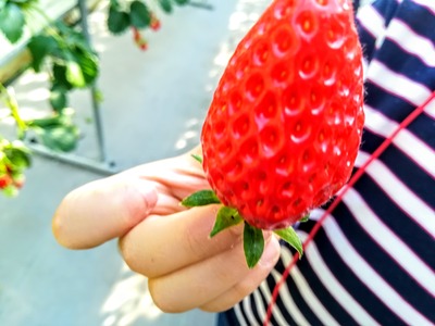 IMG_20200204_143948~2