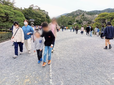 Point Blur_20240519_205027