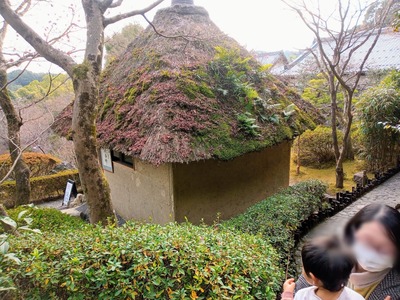 PHOTO_20211224_134333~2_copy_1440x1080