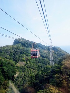 PHOTO_20240821_144248~2_copy_2358x3144