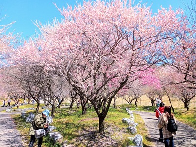 IMG_20230320_122731_601~2_copy_2304x1728